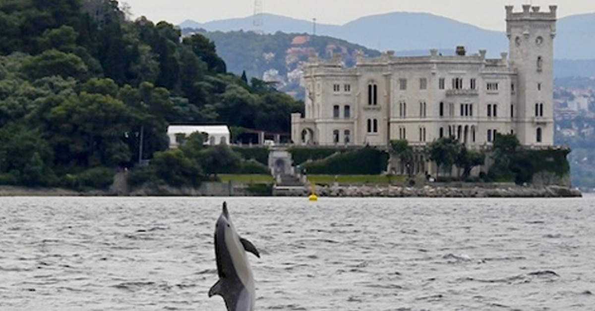 Monitorare e tutelare le biodiversità nel Golfo di Trieste
